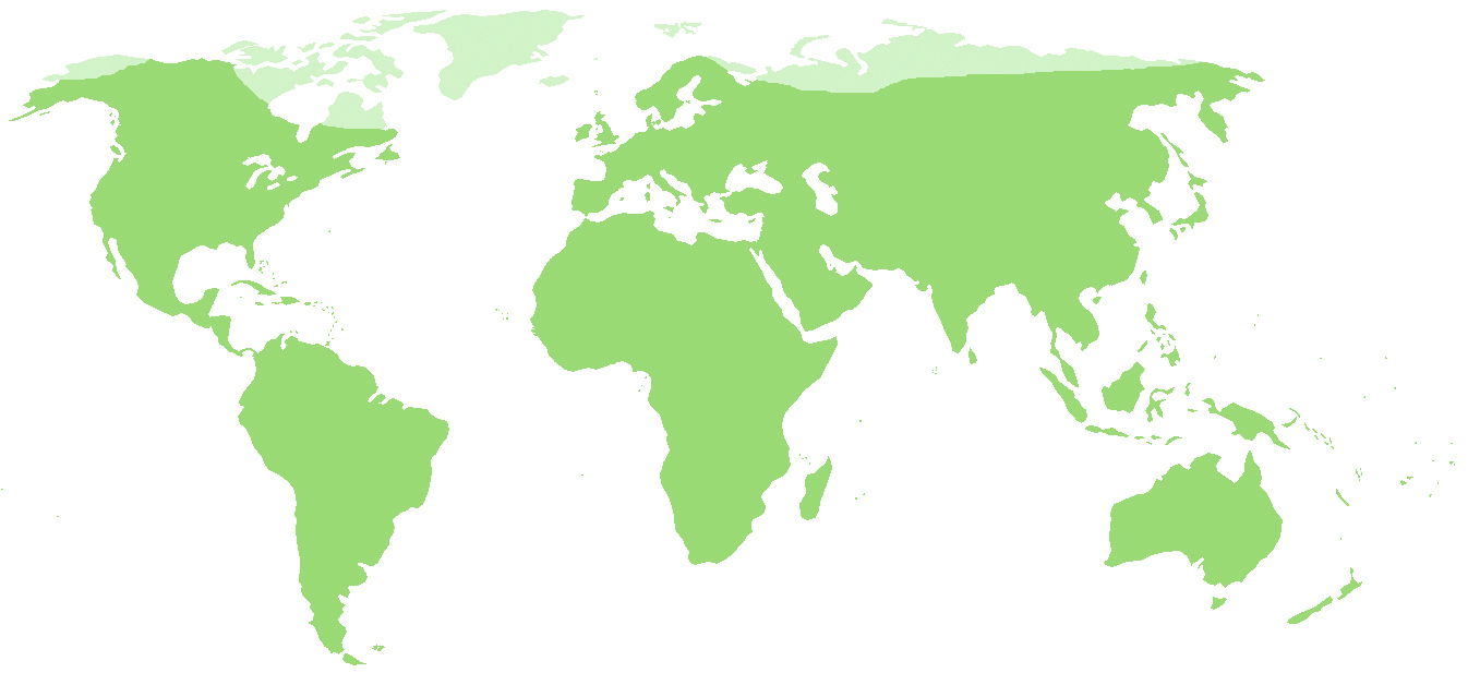 Mapa de la expansión de las ratas